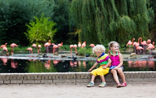 kids sitting infront of flamingos
