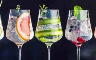 Gin and tonic fruity drinks