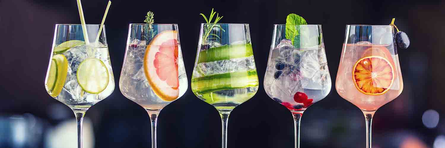 Gin and tonic fruity drinks