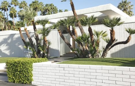 Midcentury modern home with cacti