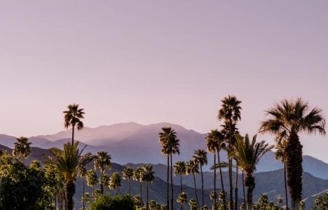 Santa Rosa & San Jacinto Mountains