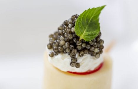 Caviar on cream cheese with mint leaf