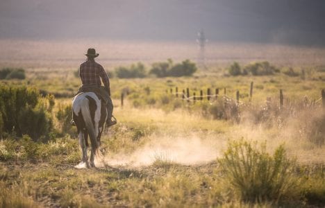 Horseback riding through desert